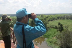 Tram Chim National Park’s endangered birds need protection as habitats shrink