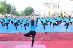 International Day of Yoga to be held in Quang Ninh