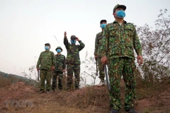 Border guard force resolves to stop illegal entry into Vietnam