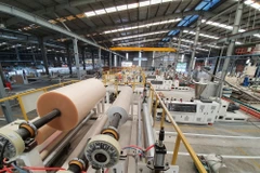 Vietnamese businesses need to reach out to global market: experts