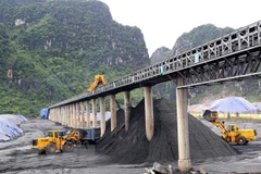 PM approves list of SOEs to carry out divestment in 2020