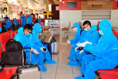 Nearly 270 Vietnamese citizens brought home from Cuba, Germany 