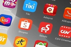 Workshop seeks ways to help firms develop e-commerce