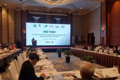 Control of legality of imported timber tightened