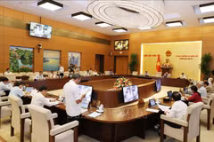NA Standing Committee reviews crime prevention and legal violations