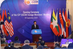 AMM-53, related meetings begin 