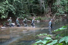 Vietnam Border Guard Law holds strategic significance in national defence: commander 