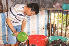 Ca Mau’s traditional sauce making recognised as national cultural heritage