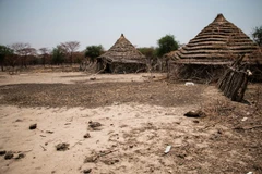 Vietnam, Indonesia call for peaceful solutions to Abyei issue