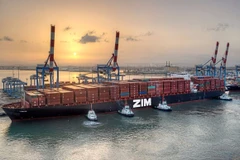 Pandemic takes toll on Vietnam’s exports to Israel: trade office