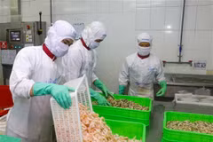 Germany’s Bayern state seeks to expand trade bond with Vietnam 