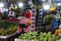 Indonesia experiences lowest inflation in two decades