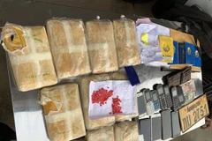 Vietnamese, Lao localities jointly bust cross-border drug trafficking ring