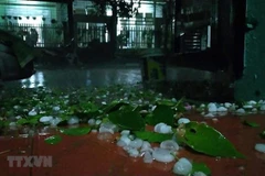 Hail causes damage in northern mountainous provinces 