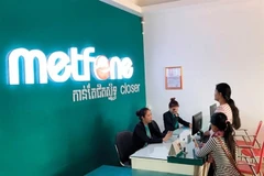 Vietnam’s investments abroad up 6.9 percent during Jan-Nov