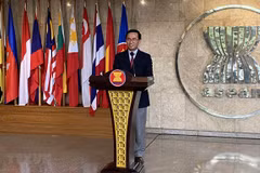 Vietnamese ambassador named new Deputy Secretary-General of ASEAN