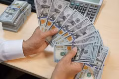 Foreign currency market stabilised following central bank’s intervention