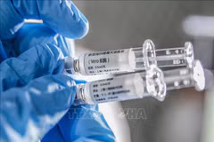 China ready to join ASEAN to develop COVID-19 vaccine: Ambassador