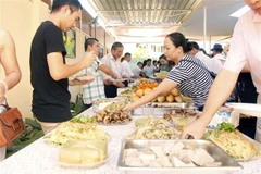Vietnamese communities in Czech Republic, Angola celebrate New Year
