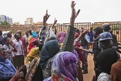 Vietnam, Indonesia back transition process in Sudan
