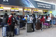 Over 340 Vietnamese citizens repatriated from UK