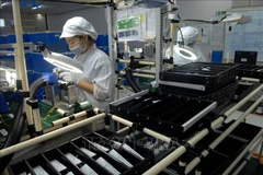 Political commitment key to Vietnam’s FDI attraction achievement: expert