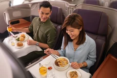 Singapore Airlines drops “flight to nowhere” plan 