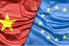 Webinar discusses opportunities from EVFTA for French investors