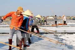 Salt industry development plan for 2021-2030 approved