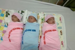 Vietnam sees increasing survival rate of premature infants
