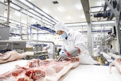Agro processing gets tidal wave of investment 
