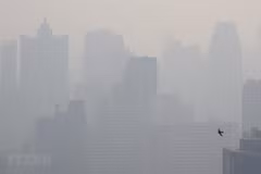 Thailand to take more actions to fight air pollution