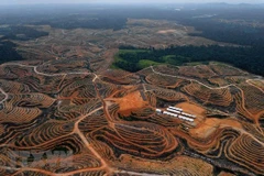 Indonesia sets up agency to handle investment in new capital