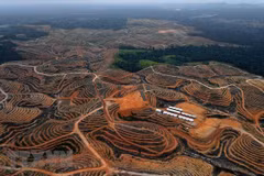 Indonesia sets up agency to handle investment in new capital