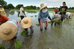 Philippines, WB sign 370 million USD loan deal to assist Filipino farmers