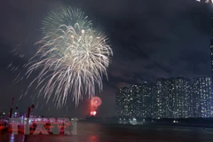 HCM City: Lunar New Year’s Eve fireworks to be set off at 7 venues