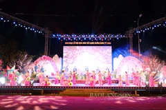 Peach blossom festival held in Lang Son