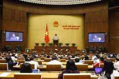 Parliament continues Q&A activities on November 9