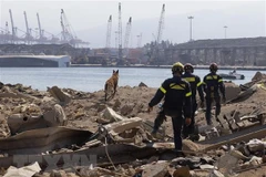 ASEAN Foreign Ministers issue statement on Lebanon explosion
