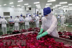 Over 49 percent of enterprises expect business to improve in Q3 