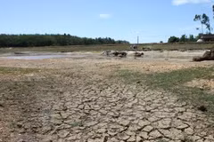 Natural disasters cost Ca Mau province over 43 million USD