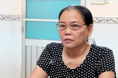 Legal procedures started against An Giang local charged with subversive acts