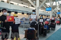 Over 310 Vietnamese citizens in RoK brought home