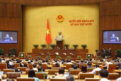 Legislature to continue Q&A sessions next week