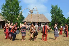 Activities celebrating Vietnam Family Day held at cultural village