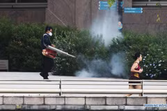 Dengue fever worsens in Singapore 