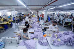 Dong Nai IPs see high rate of occupancy