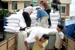 Over 3,590 tonnes of rice allocated to disaster-hit central provinces