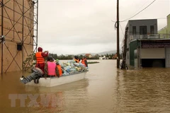Dutch-funded project launched to help flood-affected residents in Quang Nam