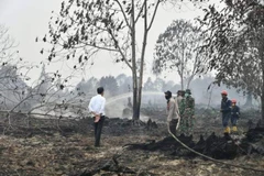 World Bank helps Indonesia reduce carbon emissions